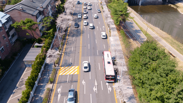 Aerial view of city street in bloom with cherry blossoms