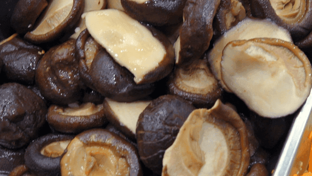 트레이에 담긴 삶은 버섯들