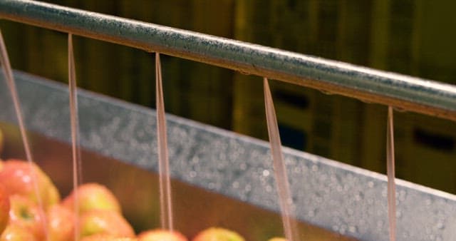 Fresh Apples Being Washed on a Conveyor in the Factory