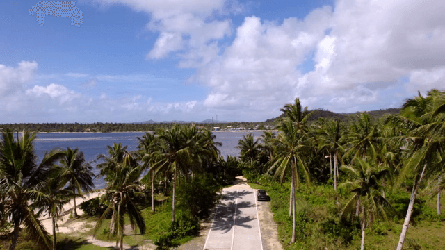 Tropical beach with palm trees and clear skies