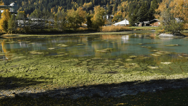Tranquil mountain landscape with lake