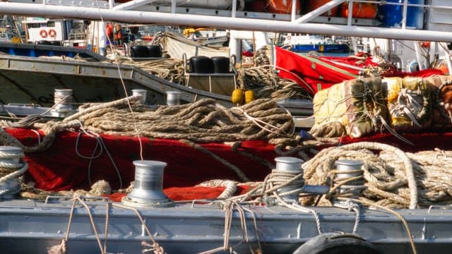 Fishing boats anchored with tangled ropes at daytime