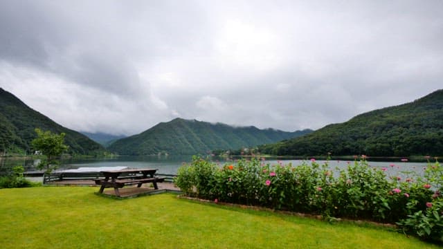 Flowers by the lake with misty mountains in the background