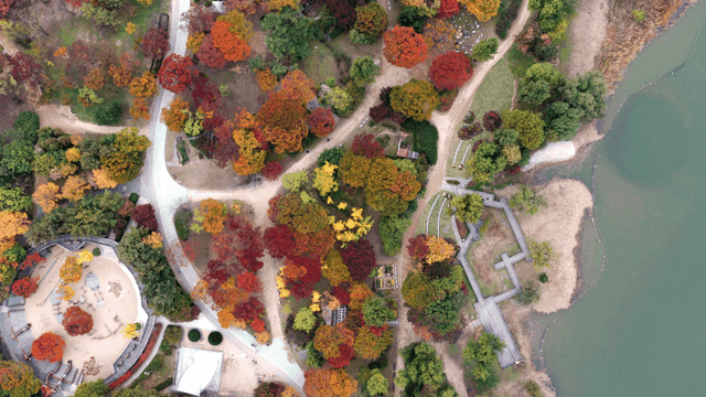 공원의 다채로운 가을 나무들