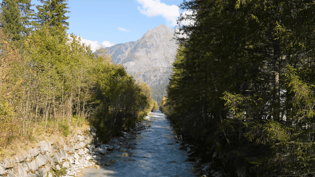 Serene river flowing through a forest
