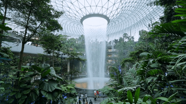 푸른 식물로 둘러싸인 실내 폭포