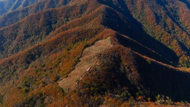 Autumn Foliage Covering Mountain Landscape