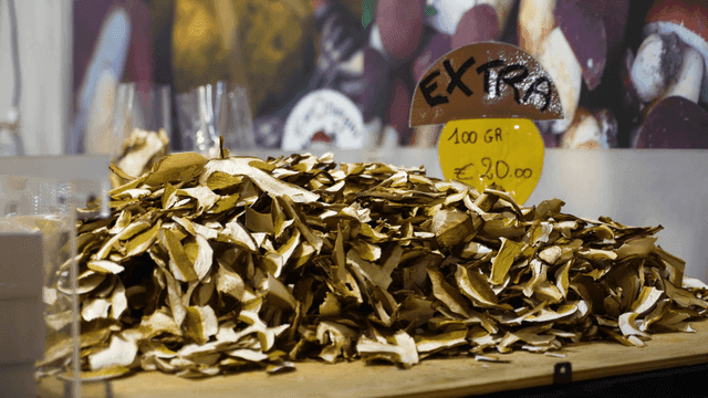 Dried mushrooms displayed for sale