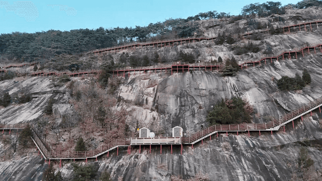나무 계단 산책로가 있는 산길