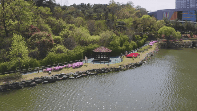 다채로운 꽃이 있는 호숫가 공원