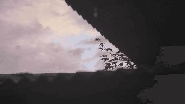 지붕 너머로 보이는 하늘