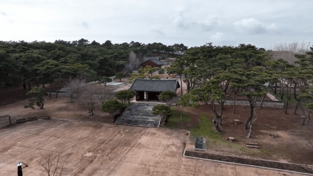 나무로 둘러싸인 전통 한국 건물