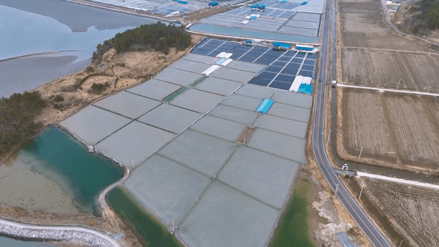 Expansive salt farms near the coast