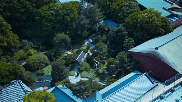 Traditional Japanese garden lush with greenery