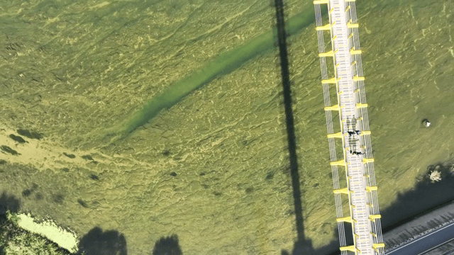 사람들이 출렁다리를 걷고 있는 모습