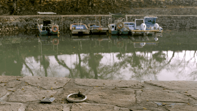 Boats docked by a calm lakeside
