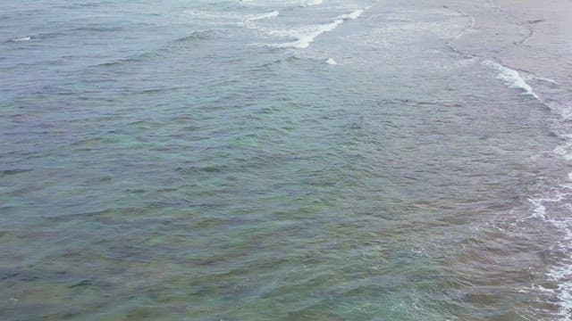 Waves gently rolling on a serene beach