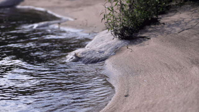 모래 해변에 부드럽게 밀려오는 물결