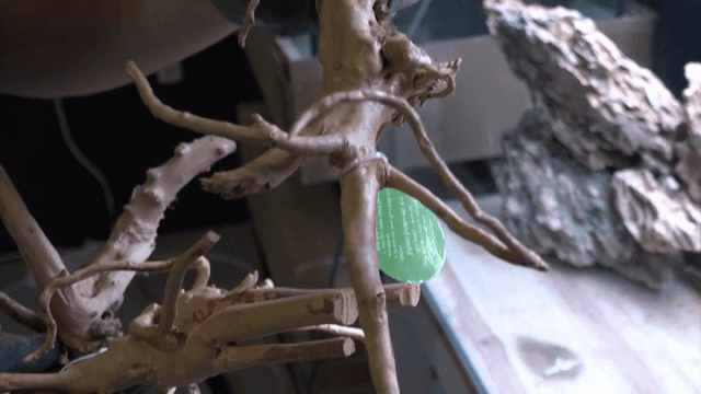 수족관에 유목을 배치하는 사람