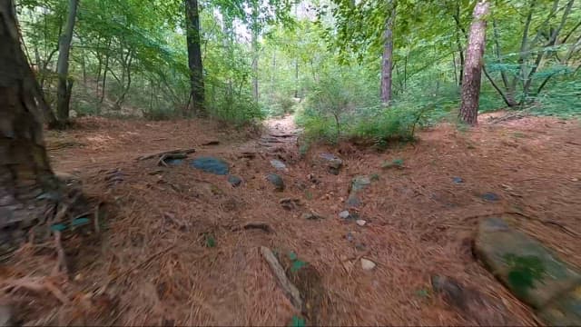 훼손되지 않은 숲길과 험준한 시냇길