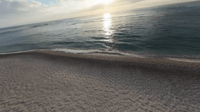 무성한 야자수가 있는 열대 해변