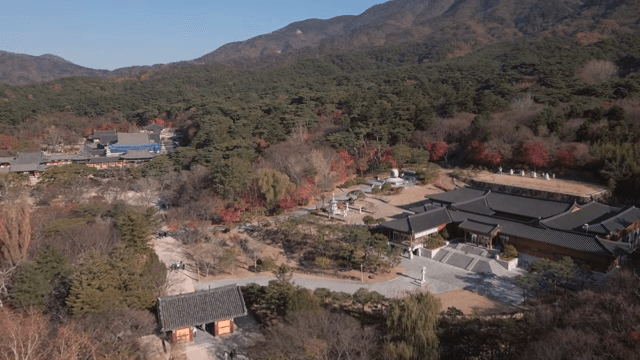 가을 단풍에 둘러싸인 전통 한국 사찰
