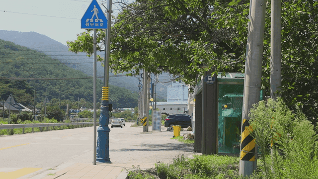 시골의 나무로 둘러싸인 버스정류장