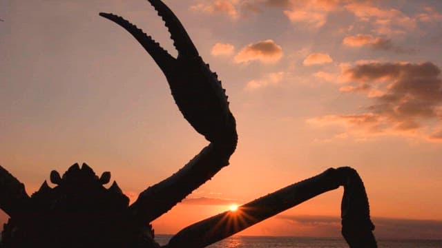 Sunset behind the silhouette of the crab sculpture