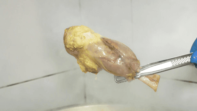 Lamb leg boiled in steaming pot