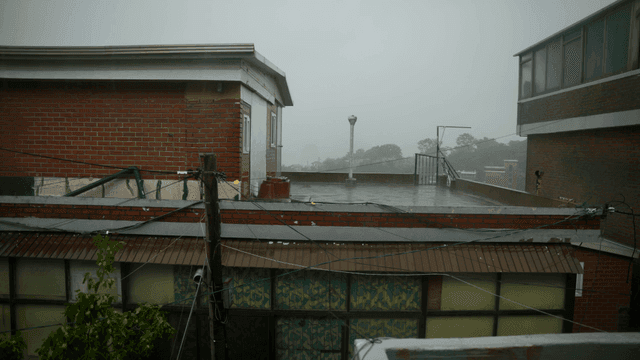 비 오는 날의 주택 옥상 풍경