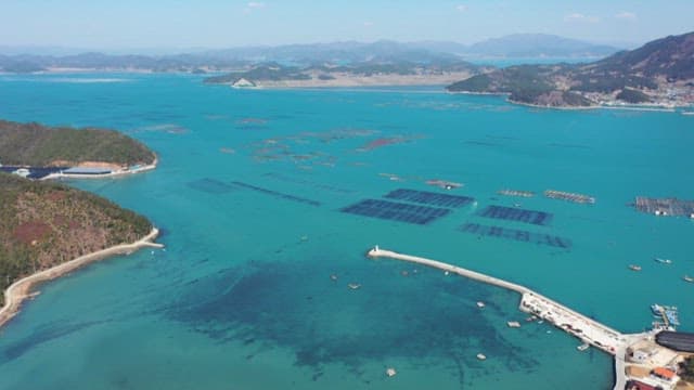 Aerial view of a coastal area with aquaculture farms of seaweed