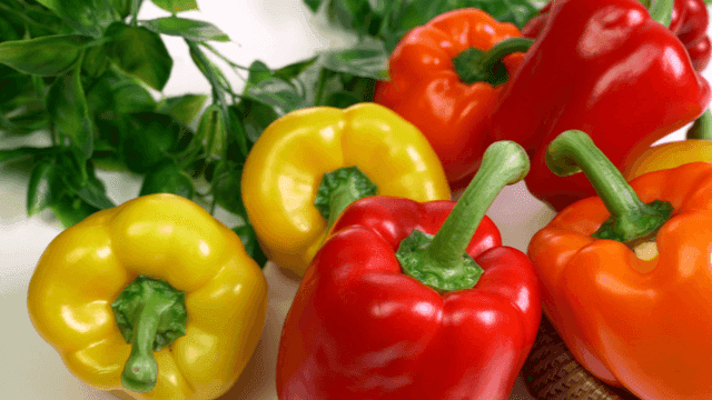 Paprikas of various colors