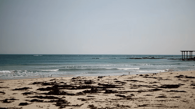 Serene beach with gentle waves