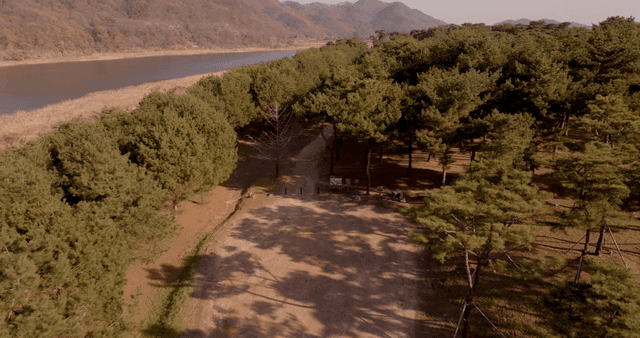 강 옆 숲길과 산