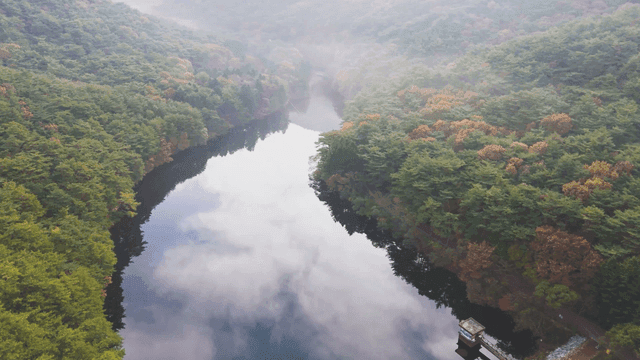 Serene river winding through a forest