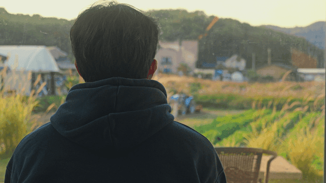 Back view of a man looking at rural scenery