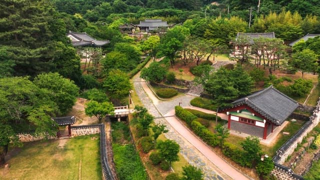 푸른 나무로 둘러싸인 한국 전통 가옥