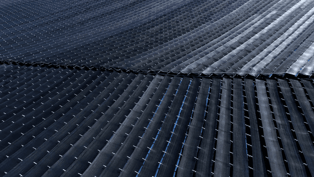 Rows of fields with open shade canopies