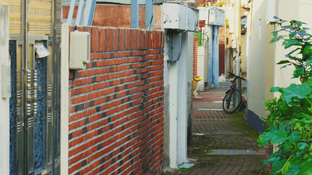 식물과 자전거가 있는 좁은 동네 골목