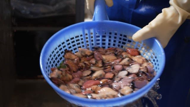 Person washing and straining mussel meat in a blue colander