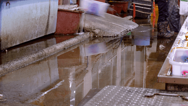 Fish market with water flowing on floor