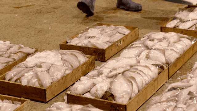 Box full of fish with ice poured into it with shovel