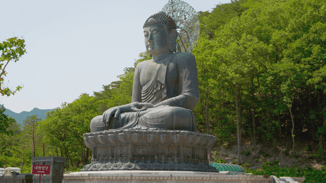 숲 속의 큰 불상