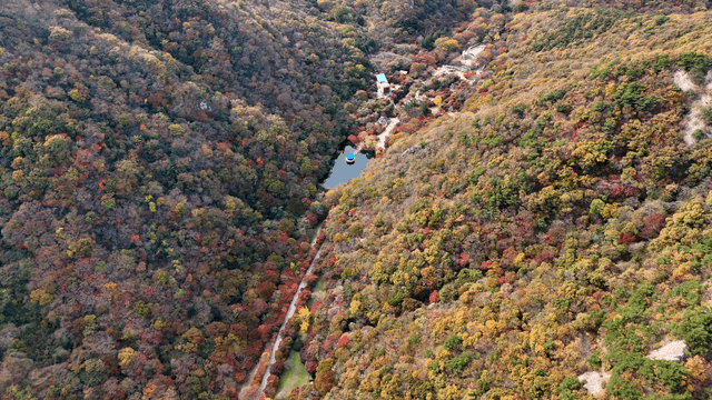 Aerial view of a forested mountain valley