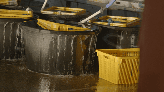 Water overflowing from large basin