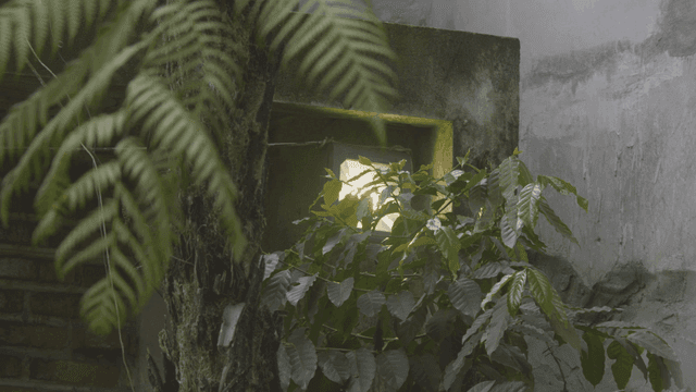Wall lamp surrounded by green leaves