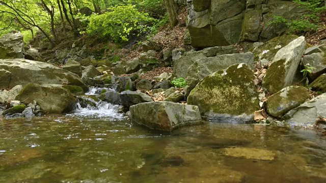 바위 사이로 흐르는 고요한 시냇물