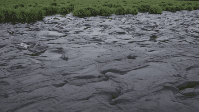 Flowing river with lush green banks