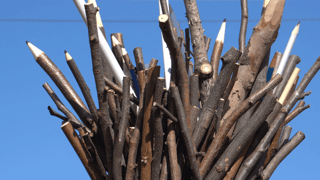 맑은 하늘 아래 나뭇가지 연필 조각품