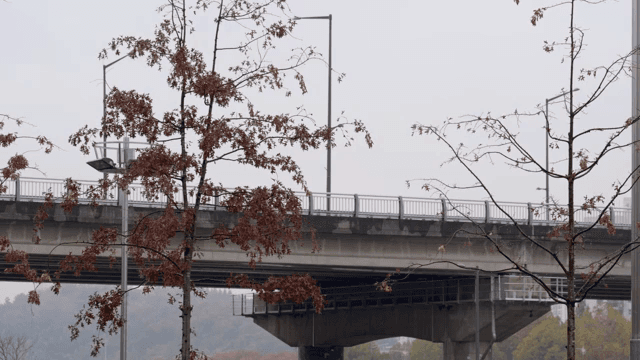 가을 나무가 있는 다리